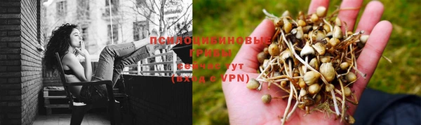 стаф Медвежьегорск