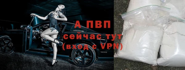 гашик Михайловск