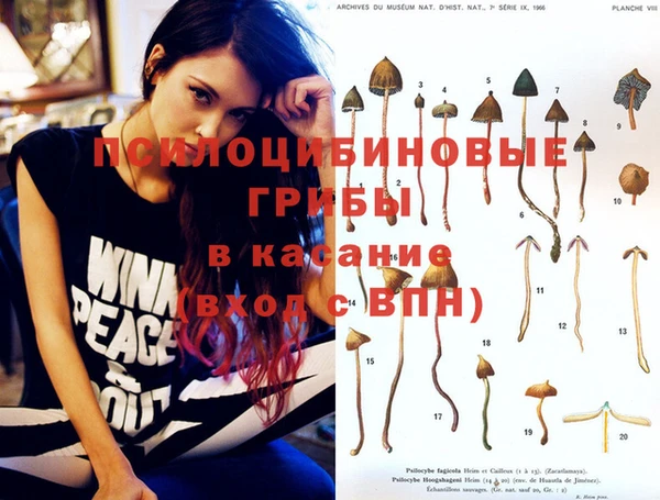 гашик Михайловск