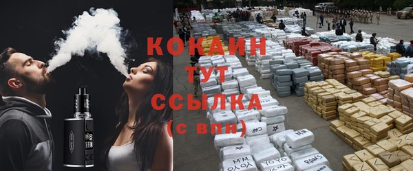 гашик Михайловск