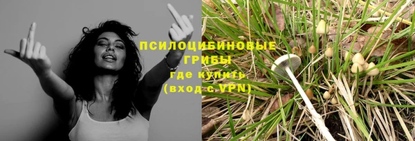 гашик Михайловск