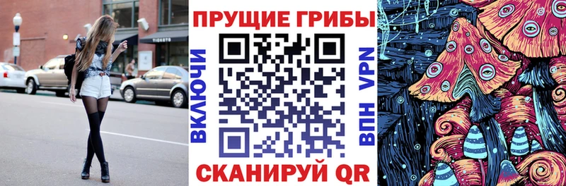 ссылка на мегу ссылки купить наркоту Кувандык Галлюциногенные грибы GOLDEN TEACHER