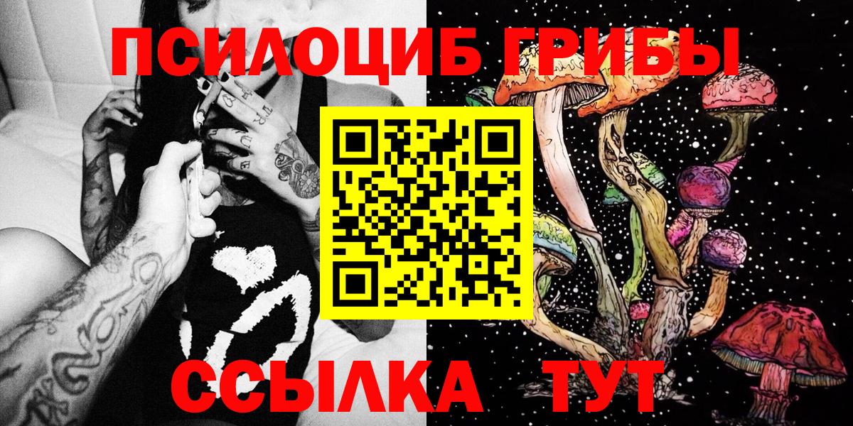 Псилоцибиновые грибы Cubensis Кувандык